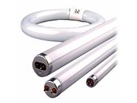 Fluorescent lamps