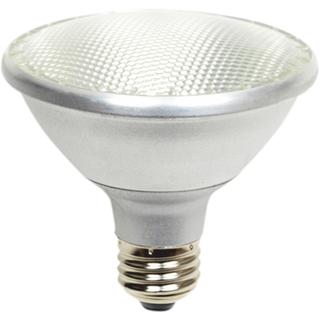 LED PAR30 E27 240V EUROLAMP