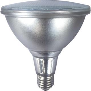 LED PAR38 E27 IP65 240V EUROLAMP