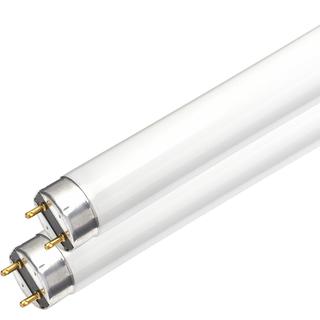 Fluorescent T8 G13 240V EUROLAMP / VITOONE