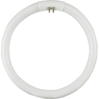 Fluorescent T9 round G10Q 240V EUROLAMP