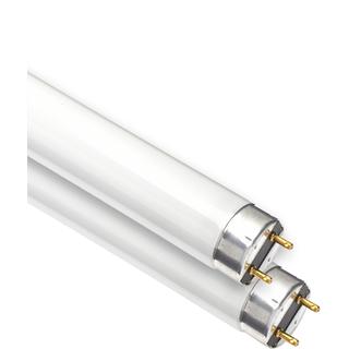 Fluorescent T5 G5 240V EUROLAMP