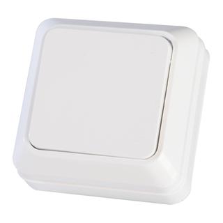 Surface Switch 1P single 2 way mini white IP20